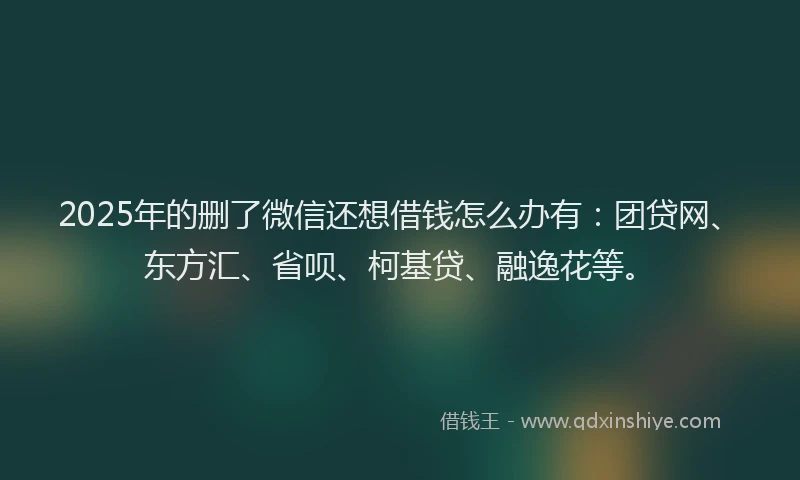 2025年的删了微信还想借钱怎么办有：团贷网、东方汇、省呗、柯基贷、融逸花等。