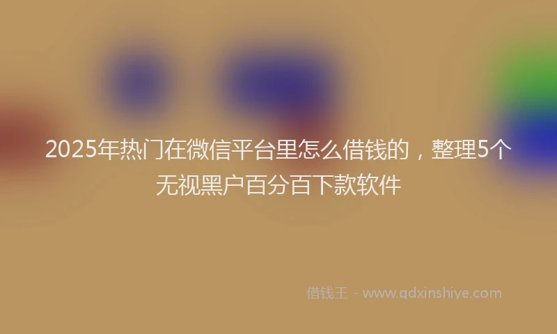 2025年热门在微信平台里怎么借钱的，整理5个无视黑户百分百下款软件