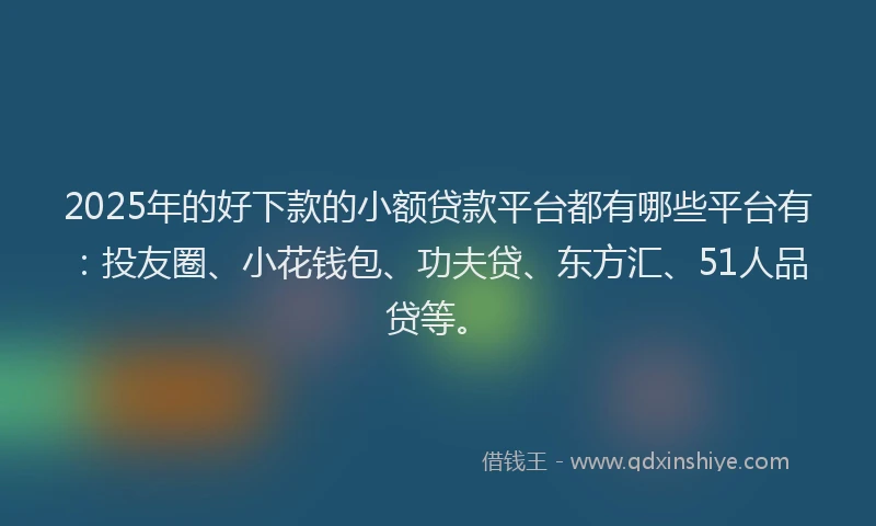 2025年的好下款的小额贷款平台都有哪些平台有：投友圈、小花钱包、功夫贷、东方汇、51人品贷等。