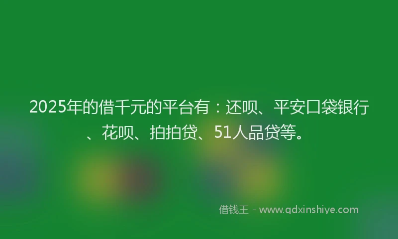 2025年的借千元的平台有：还呗、平安口袋银行、花呗、拍拍贷、51人品贷等。