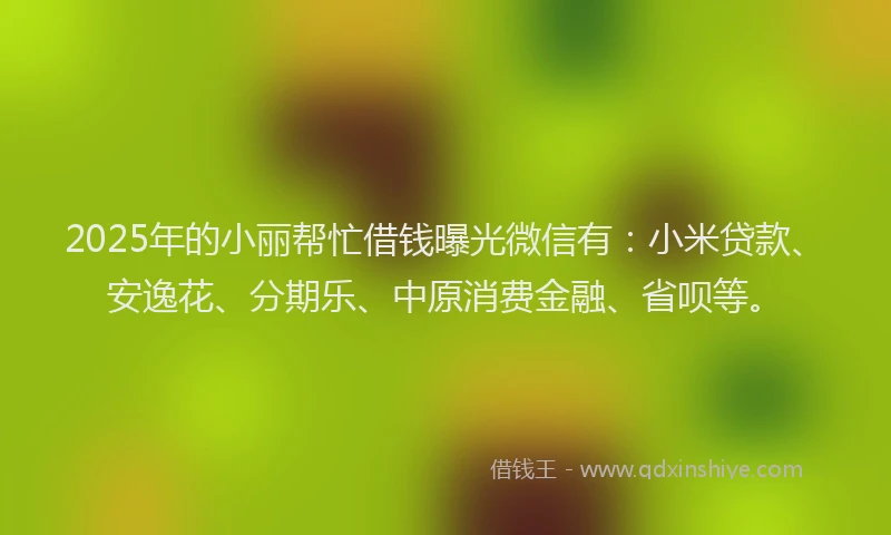 2025年的小丽帮忙借钱曝光微信有：小米贷款、安逸花、分期乐、中原消费金融、省呗等。