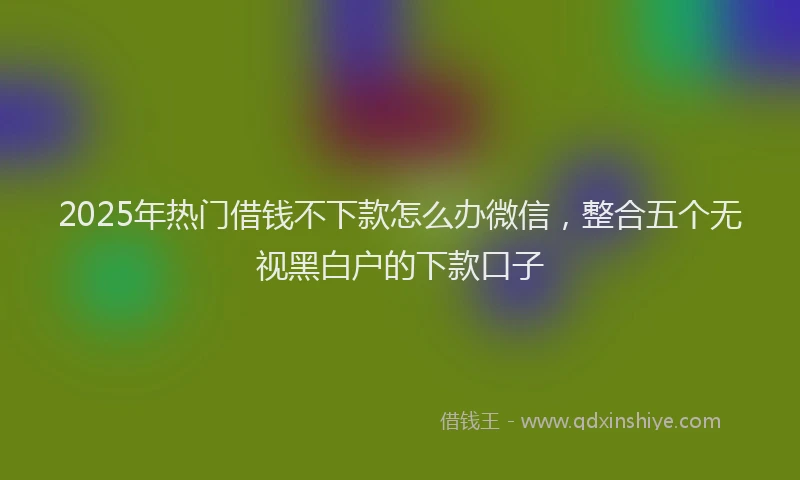 2025年热门借钱不下款怎么办微信，整合五个无视黑白户的下款口子