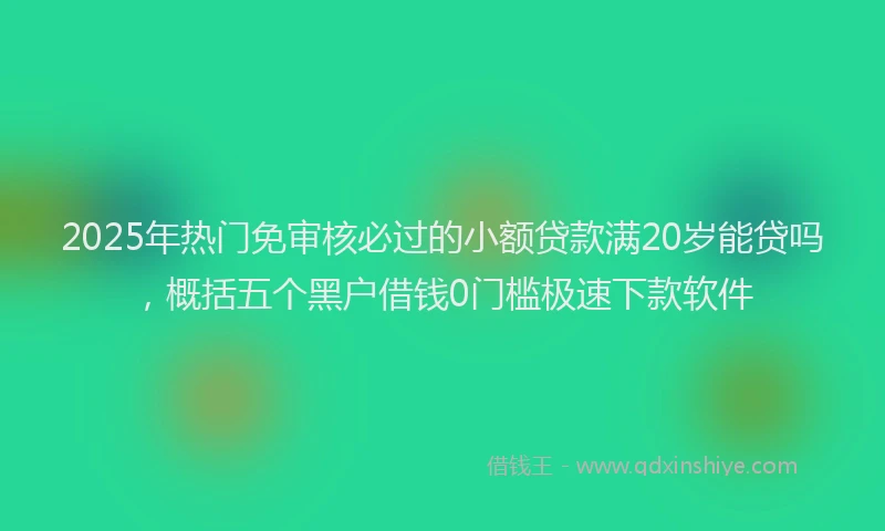 2025年热门免审核必过的小额贷款满20岁能贷吗，概括五个黑户借钱0门槛极速下款软件