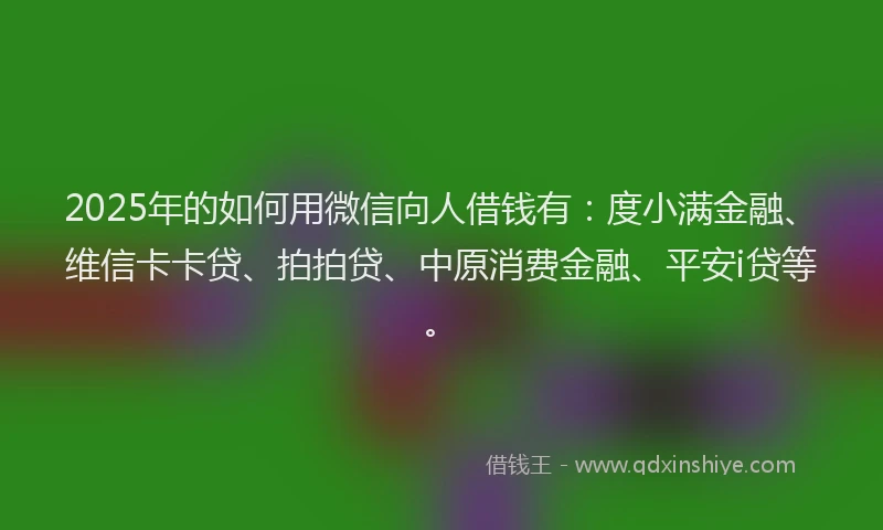 2025年的如何用微信向人借钱有：度小满金融、维信卡卡贷、拍拍贷、中原消费金融、平安i贷等。
