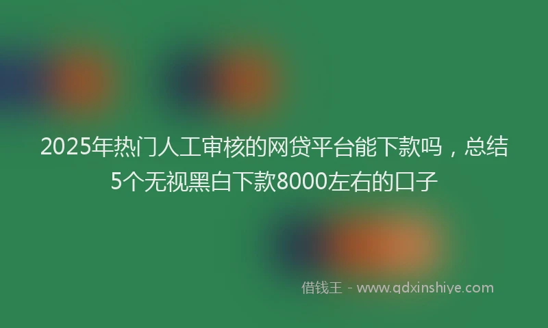 2025年热门人工审核的网贷平台能下款吗，总结5个无视黑白下款8000左右的口子