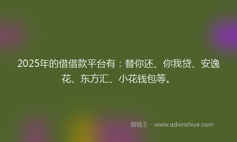 2025年的借借款平台有：替你还、你我贷、安逸花、东方汇、小花钱包等。