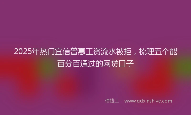 2025年热门宜信普惠工资流水被拒，梳理五个能百分百通过的网贷口子