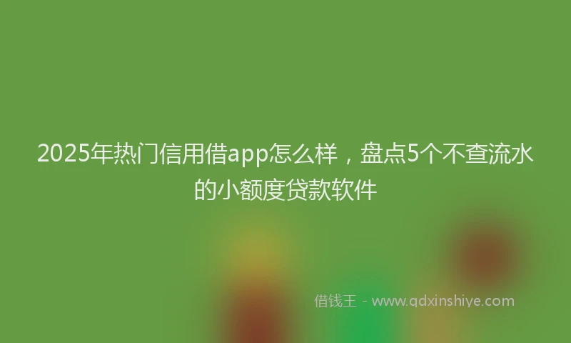 2025年热门信用借app怎么样，盘点5个不查流水的小额度贷款软件