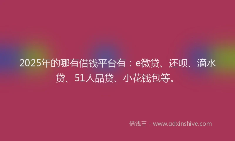 2025年的哪有借钱平台有：e微贷、还呗、滴水贷、51人品贷、小花钱包等。