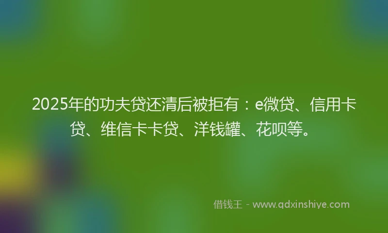 2025年的功夫贷还清后被拒有：e微贷、信用卡贷、维信卡卡贷、洋钱罐、花呗等。