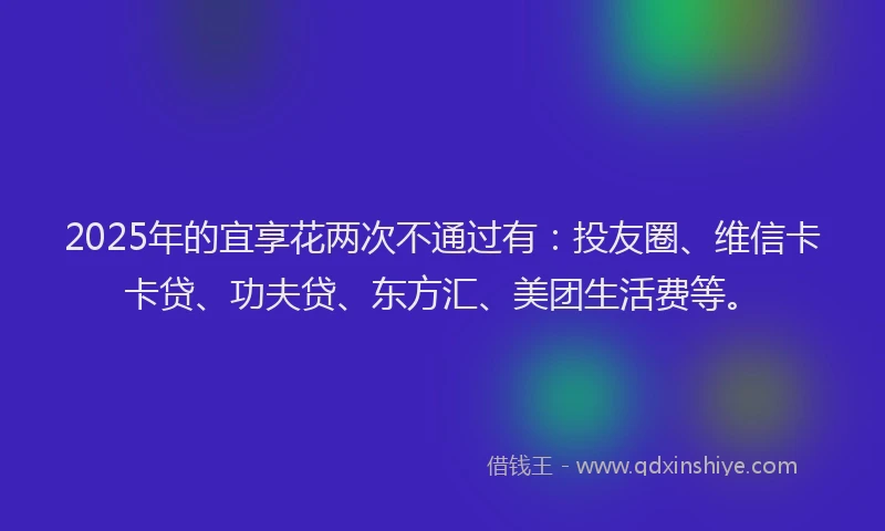 2025年的宜享花两次不通过有：投友圈、维信卡卡贷、功夫贷、东方汇、美团生活费等。