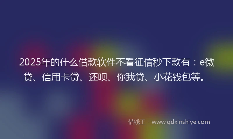 2025年的什么借款软件不看征信秒下款有：e微贷、信用卡贷、还呗、你我贷、小花钱包等。