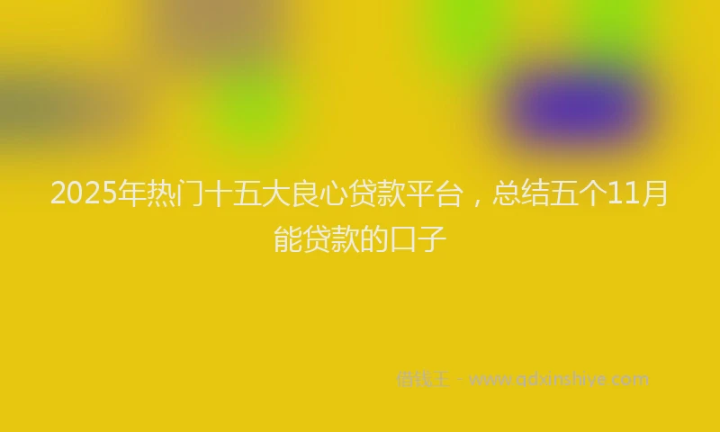 2025年热门十五大良心贷款平台，总结五个11月能贷款的口子