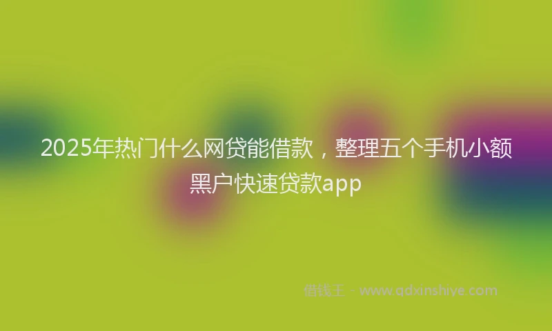 2025年热门什么网贷能借款，整理五个手机小额黑户快速贷款app