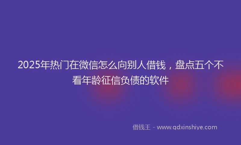 2025年热门在微信怎么向别人借钱，盘点五个不看年龄征信负债的软件