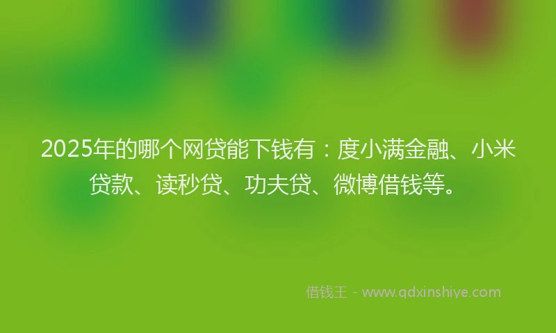 2025年的哪个网贷能下钱有：度小满金融、小米贷款、读秒贷、功夫贷、微博借钱等。
