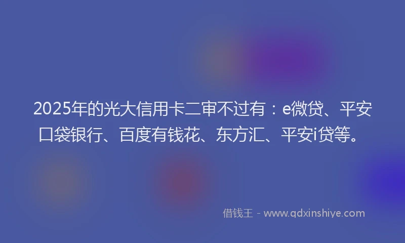 2025年的光大信用卡二审不过有：e微贷、平安口袋银行、百度有钱花、东方汇、平安i贷等。