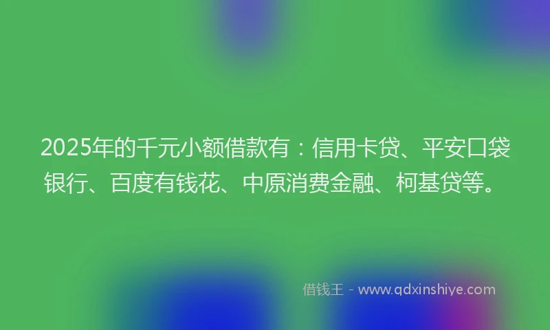 2025年的千元小额借款有:信用卡贷、平安口袋银行、百度有钱花、中原消费金融、柯基贷等。