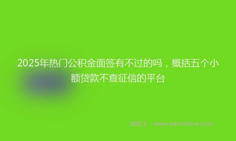 2025年热门公积金面签有不过的吗，概括五个小额贷款不查征信的平台