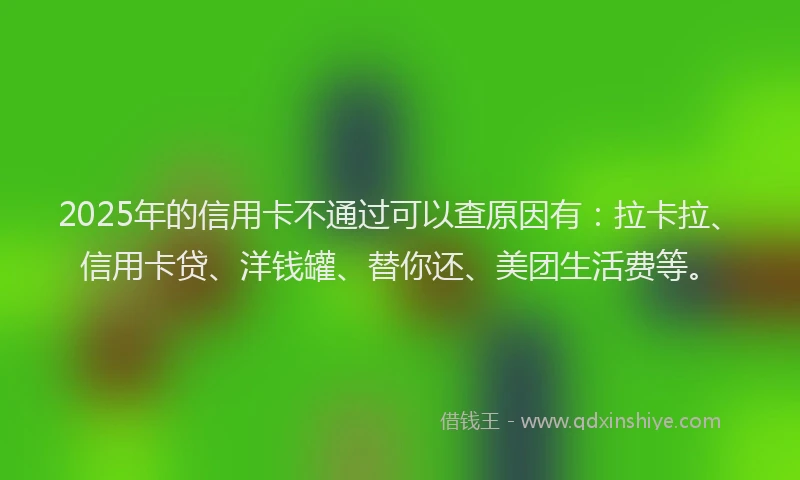 2025年的信用卡不通过可以查原因有：拉卡拉、信用卡贷、洋钱罐、替你还、美团生活费等。