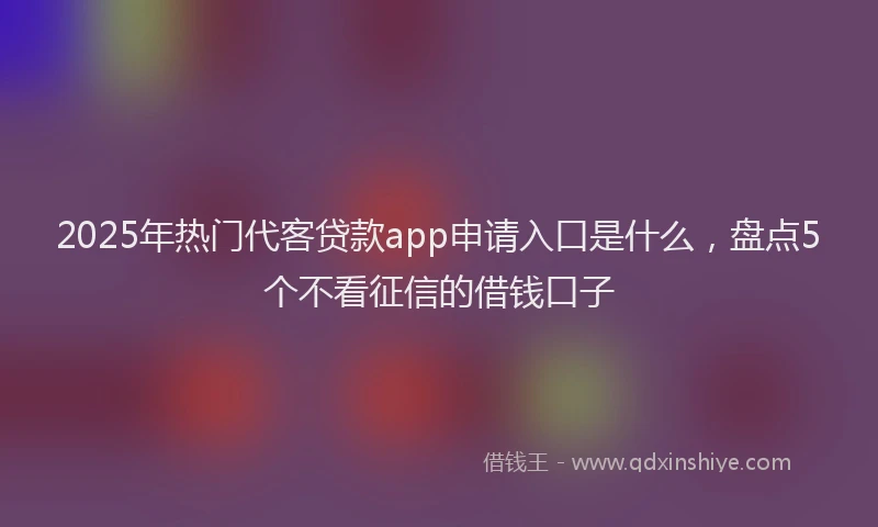 2025年热门代客贷款app申请入口是什么，盘点5个不看征信的借钱口子