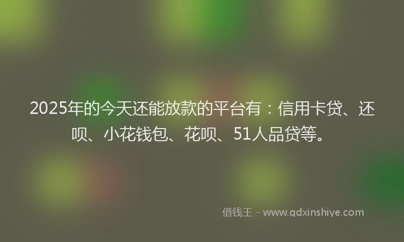 2025年的今天还能放款的平台有：信用卡贷、还呗、小花钱包、花呗、51人品贷等。