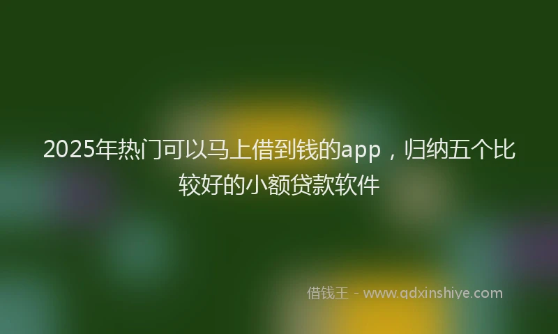 2025年热门可以马上借到钱的app，归纳五个比较好的小额贷款软件