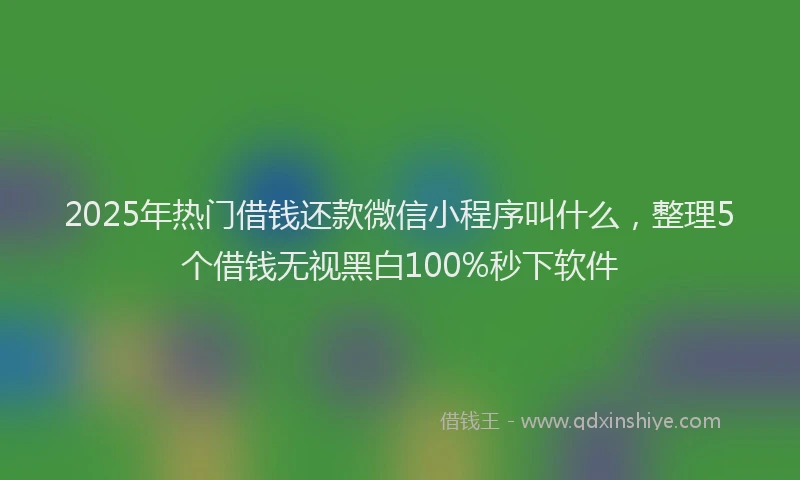 2025年热门借钱还款微信小程序叫什么，整理5个借钱无视黑白100%秒下软件