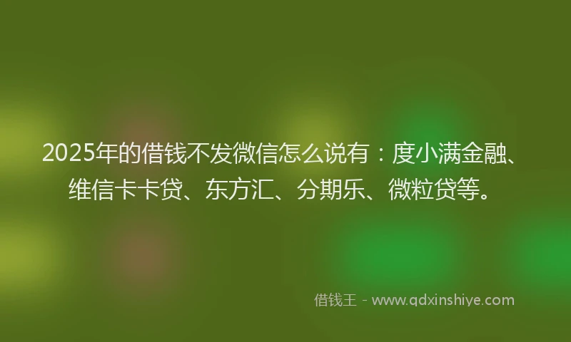 2025年的借钱不发微信怎么说有：度小满金融、维信卡卡贷、东方汇、分期乐、微粒贷等。