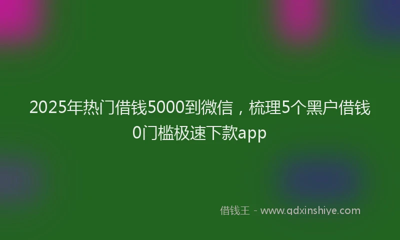 2025年热门借钱5000到微信，梳理5个黑户借钱0门槛极速下款app