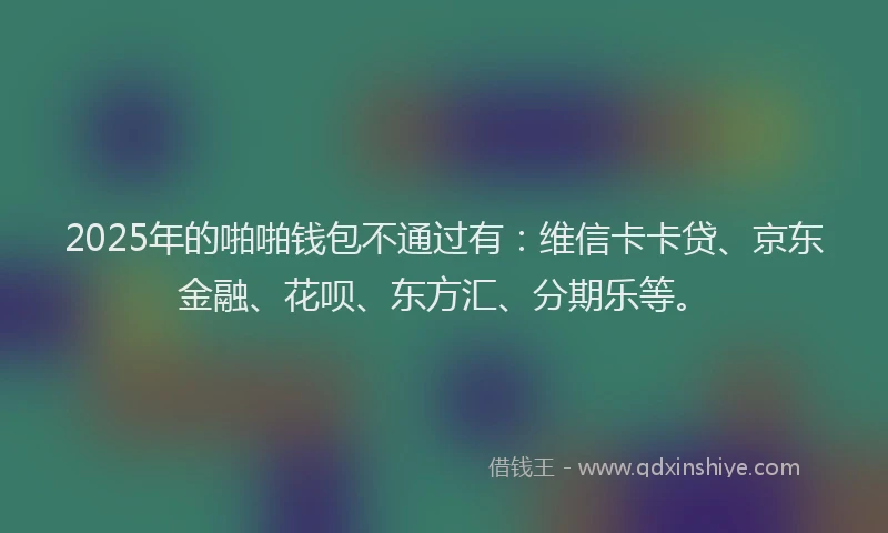 2025年的啪啪钱包不通过有：维信卡卡贷、京东金融、花呗、东方汇、分期乐等。