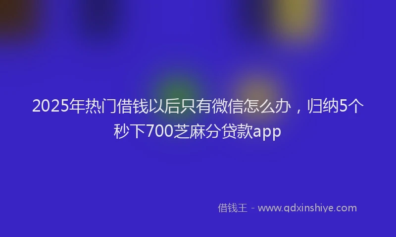 2025年热门借钱以后只有微信怎么办，归纳5个秒下700芝麻分贷款app