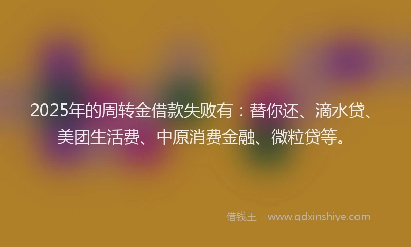 2025年的周转金借款失败有：替你还、滴水贷、美团生活费、中原消费金融、微粒贷等。