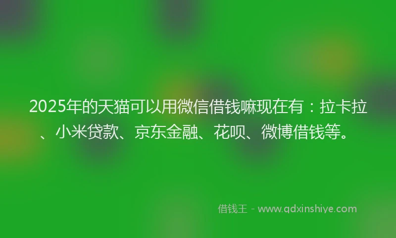 2025年的天猫可以用微信借钱嘛现在有：拉卡拉、小米贷款、京东金融、花呗、微博借钱等。