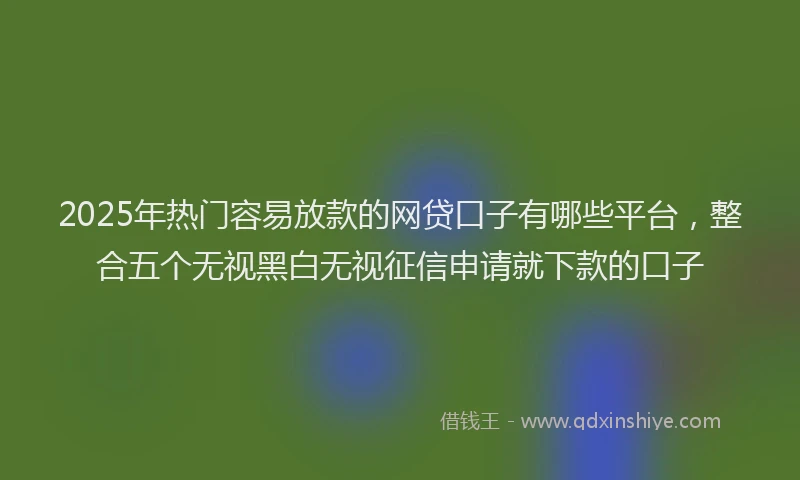 2025年热门容易放款的网贷口子有哪些平台，整合五个无视黑白无视征信申请就下款的口子
