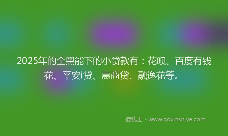 2025年的全黑能下的小贷款有：花呗、百度有钱花、平安i贷、惠商贷、融逸花等。