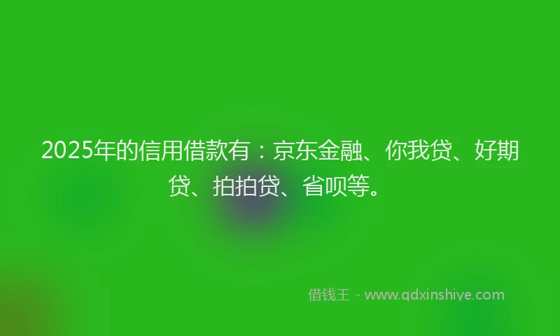 2025年的信用借款有：京东金融、你我贷、好期贷、拍拍贷、省呗等。