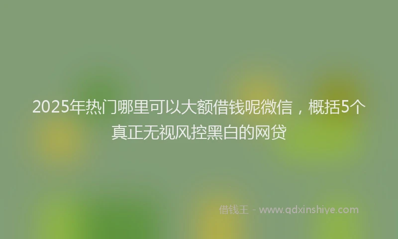 2025年热门哪里可以大额借钱呢微信，概括5个真正无视风控黑白的网贷