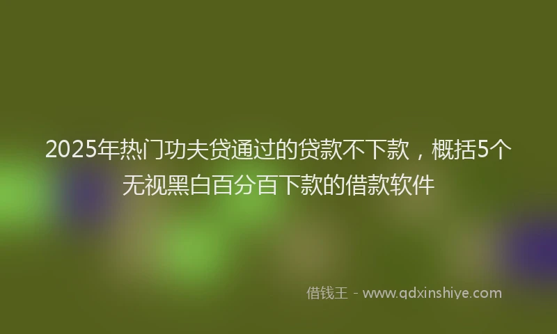 2025年热门功夫贷通过的贷款不下款，概括5个无视黑白百分百下款的借款软件