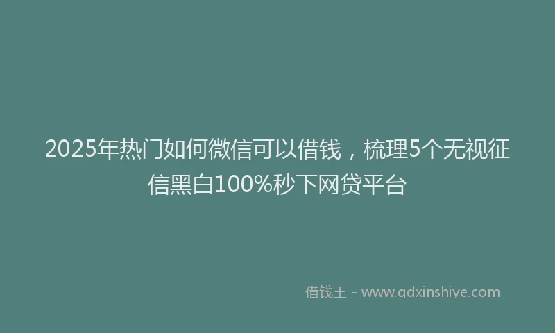 2025年热门如何微信可以借钱，梳理5个无视征信黑白100%秒下网贷平台
