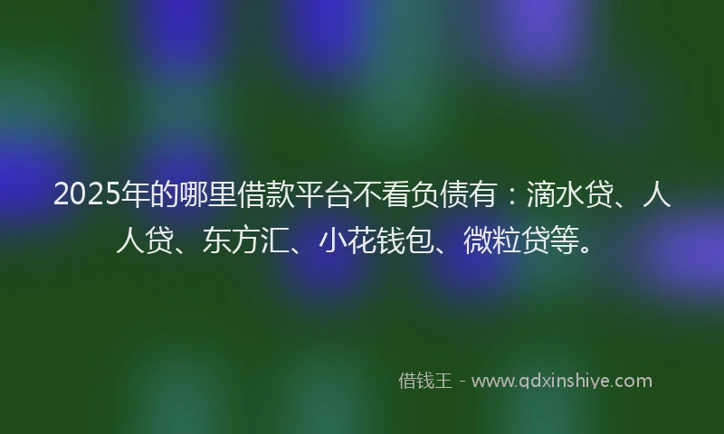 2025年的哪里借款平台不看负债有：滴水贷、人人贷、东方汇、小花钱包、微粒贷等。
