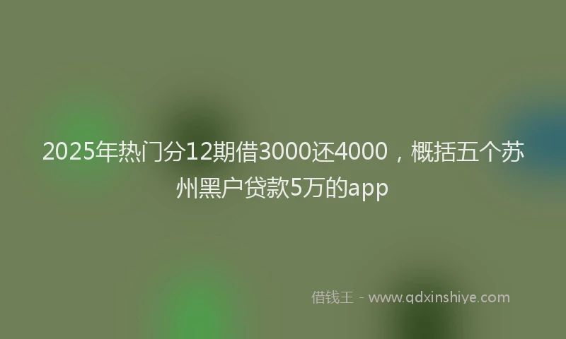 2025年热门分12期借3000还4000，概括五个苏州黑户贷款5万的app