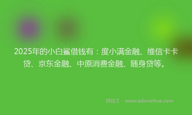 2025年的小白鲨借钱有：度小满金融、维信卡卡贷、京东金融、中原消费金融、随身贷等。