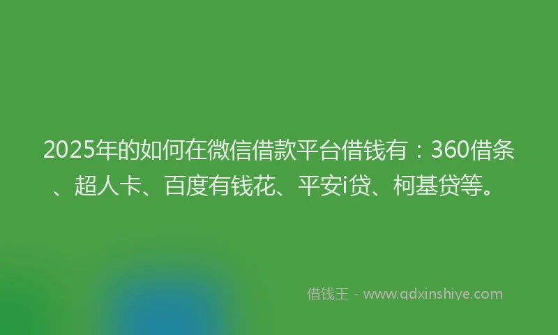 2025年的如何在微信借款平台借钱有：360借条、超人卡、百度有钱花、平安i贷、柯基贷等。