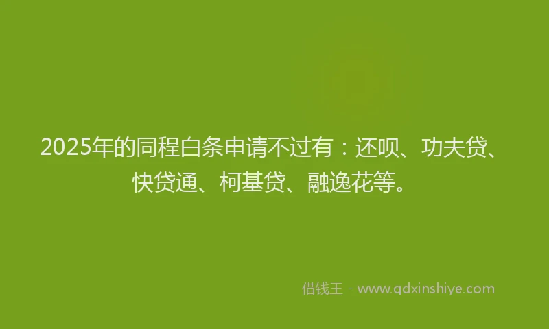 2025年的同程白条申请不过有：还呗、功夫贷、快贷通、柯基贷、融逸花等。