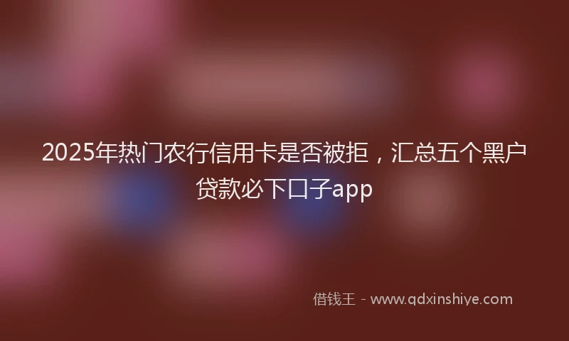 2025年热门农行信用卡是否被拒，汇总五个黑户贷款必下口子app