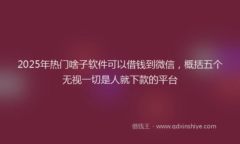 2025年热门啥子软件可以借钱到微信，概括五个无视一切是人就下款的平台