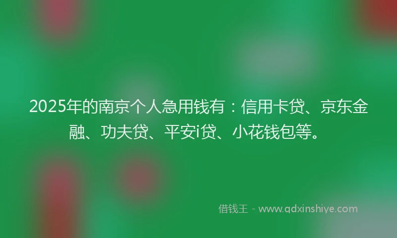 2025年的南京个人急用钱有：信用卡贷、京东金融、功夫贷、平安i贷、小花钱包等。