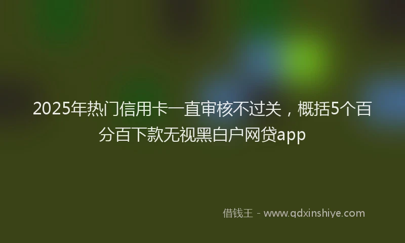 2025年热门信用卡一直审核不过关，概括5个百分百下款无视黑白户网贷app