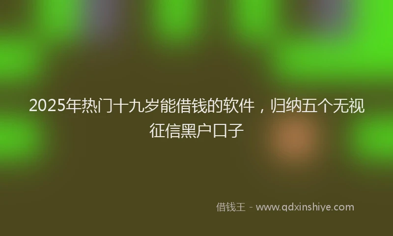 2025年热门十九岁能借钱的软件，归纳五个无视征信黑户口子